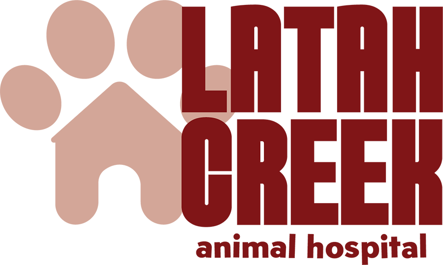 Latah Creek Animal Hospital