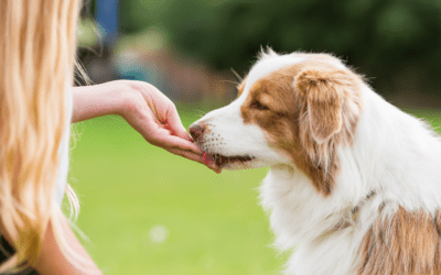 What is Behavior Modification?