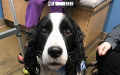 What to Do At A Non Fear Free Clinic!