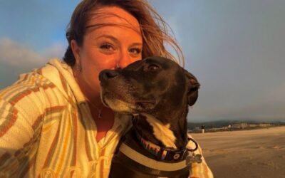 The Things I Wish I Knew Before Taking My Rescue Dog to The Vet